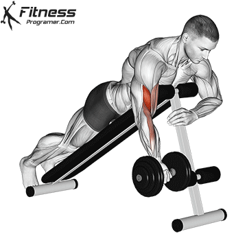 One Arm Prone Dumbbell Curl