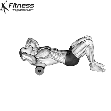 Foam Roller Back Stretch Workout Planner