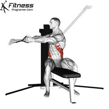 Seated Cable Twist