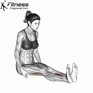 Seated Straight Leg Calf Stretch » Workout Planner