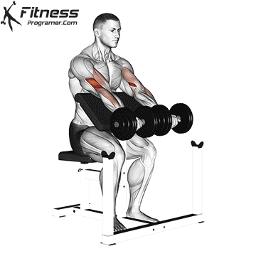 Two Dumbbell Preacher Curl