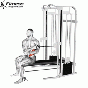 Cable Seated Cross Arm Twist » Workout Planner