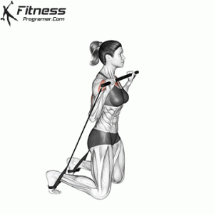 Kneeling-Incline-Press – Gymstick