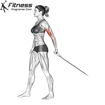 One-Arm Biceps Curl With Resistance Band