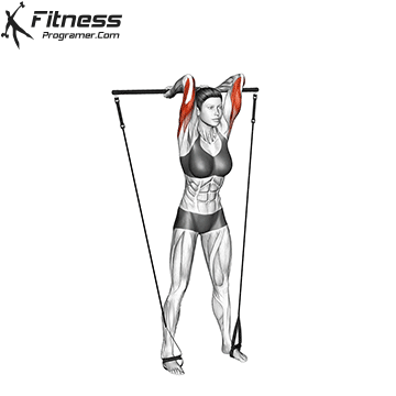 Overhead Triceps Extension | Gymstick
