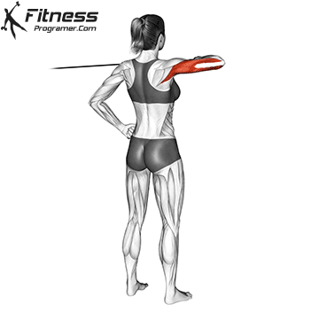 Rear Drive With Resistance Band