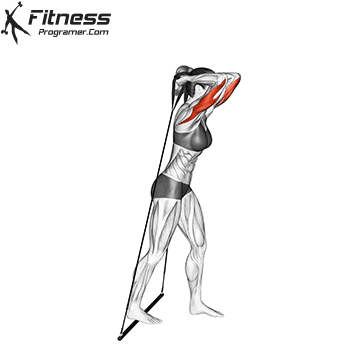 Standing Triceps Extension | Gymstick