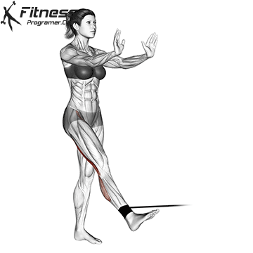 Standing Leg Curl With Resistance Band