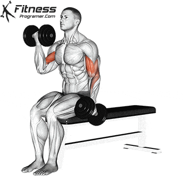 Seated Alternating Dumbbell Curl