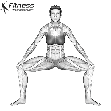 Standing Wide Knees Adductor Stretch