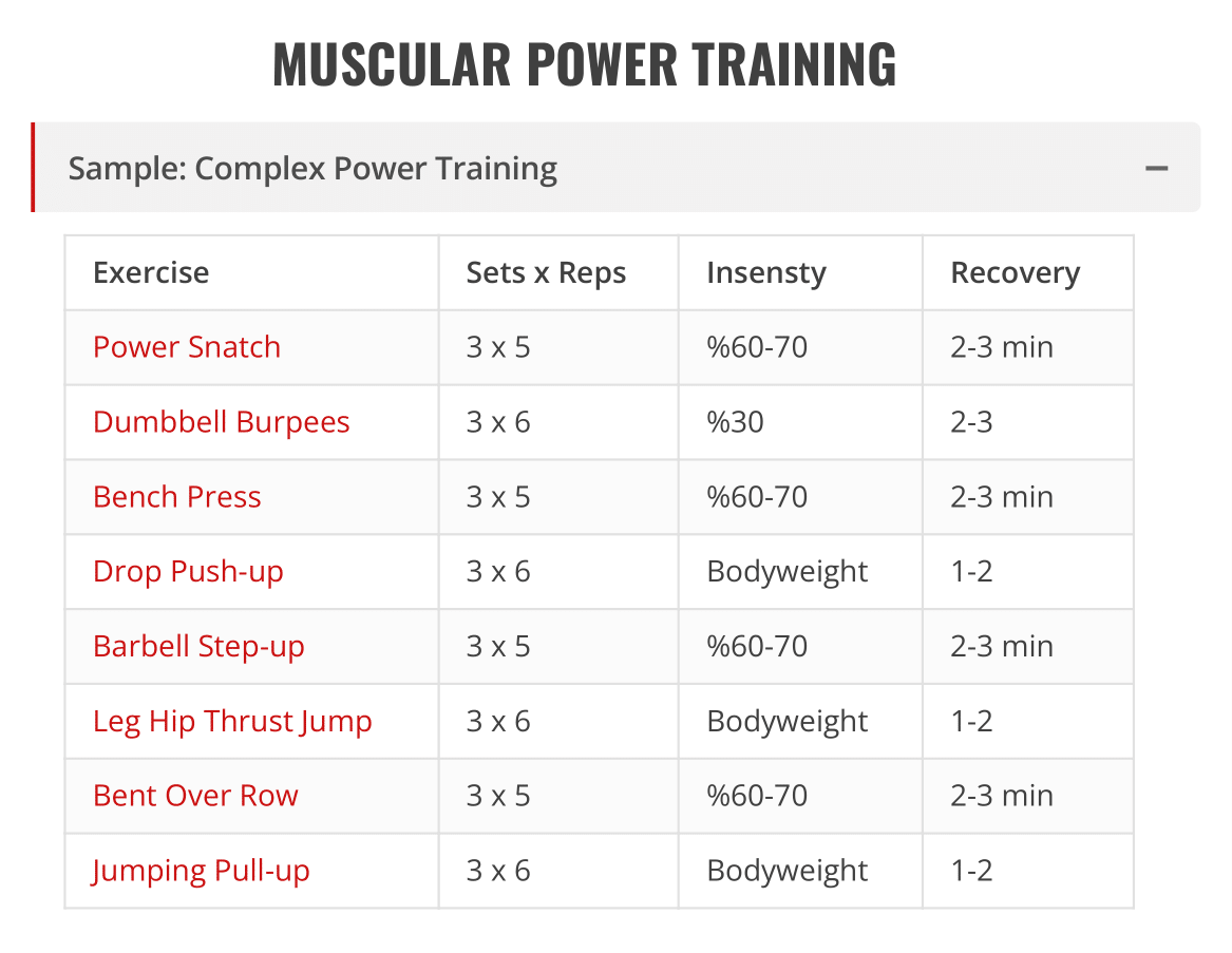 sample complex muscular power training
