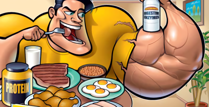 Bodybuilding Meals and Nutrition