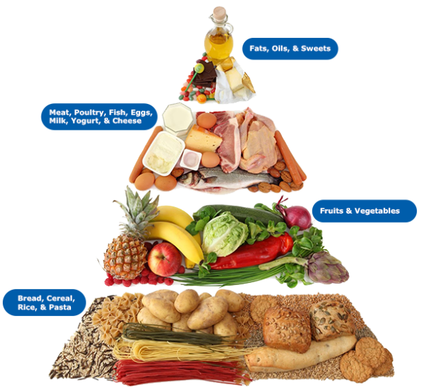 Carbohydrates for the Bodybuilder Diet