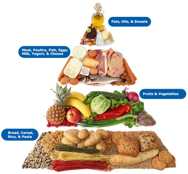 bodybuilding nutrition pyramid