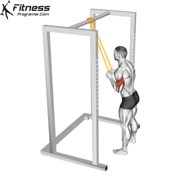 Triceps Extension with Resistance Bands