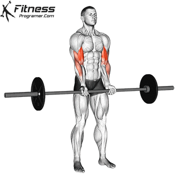 Commerce mythology gray Close Grip Barbell Curl » Workout Planner
