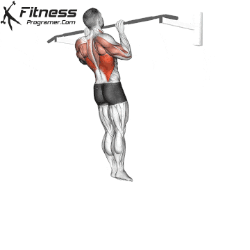 Isometric Pull-Up