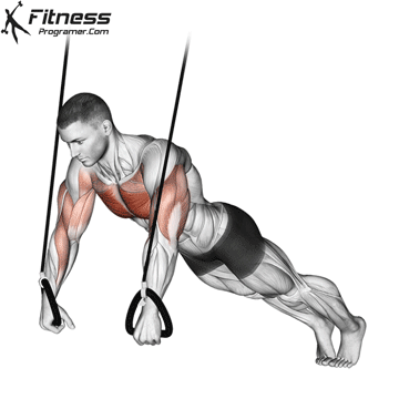 Suspended Push-Up