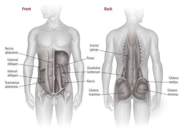 Que Es Core Plank Vs. Sit-Up: Which Builds A Stronger Core?