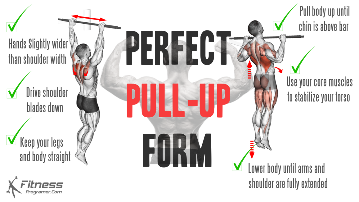 Pull Ups Muscles Worked Diagram