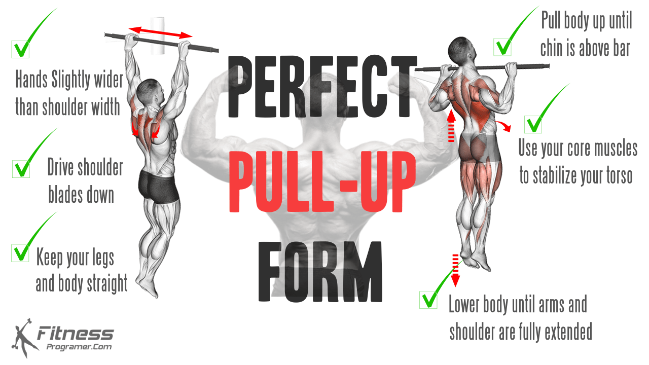 Pull Ups For Everyone A Beginner s Guide To Mastering