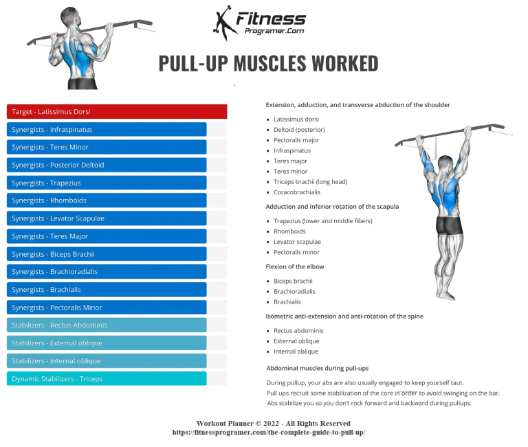 PullUps For Everyone A Beginner's Guide To Mastering