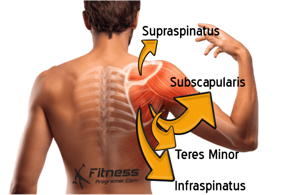 rotator cuff shoulder injury