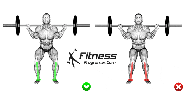 Why does it concern the appropriate model: the case of the best personal training in Singapore 4 Checks is good for1