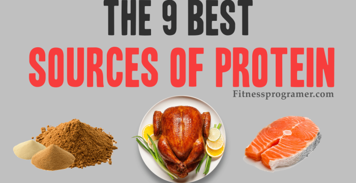 The 9 Best Sources Of Protein