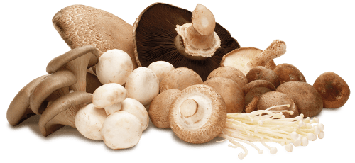 100 Grams Mushrooms
