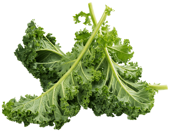 100 Grams Kale