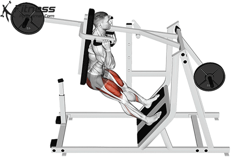 Quads Glutes Workout Routine Created By Zahli Driver