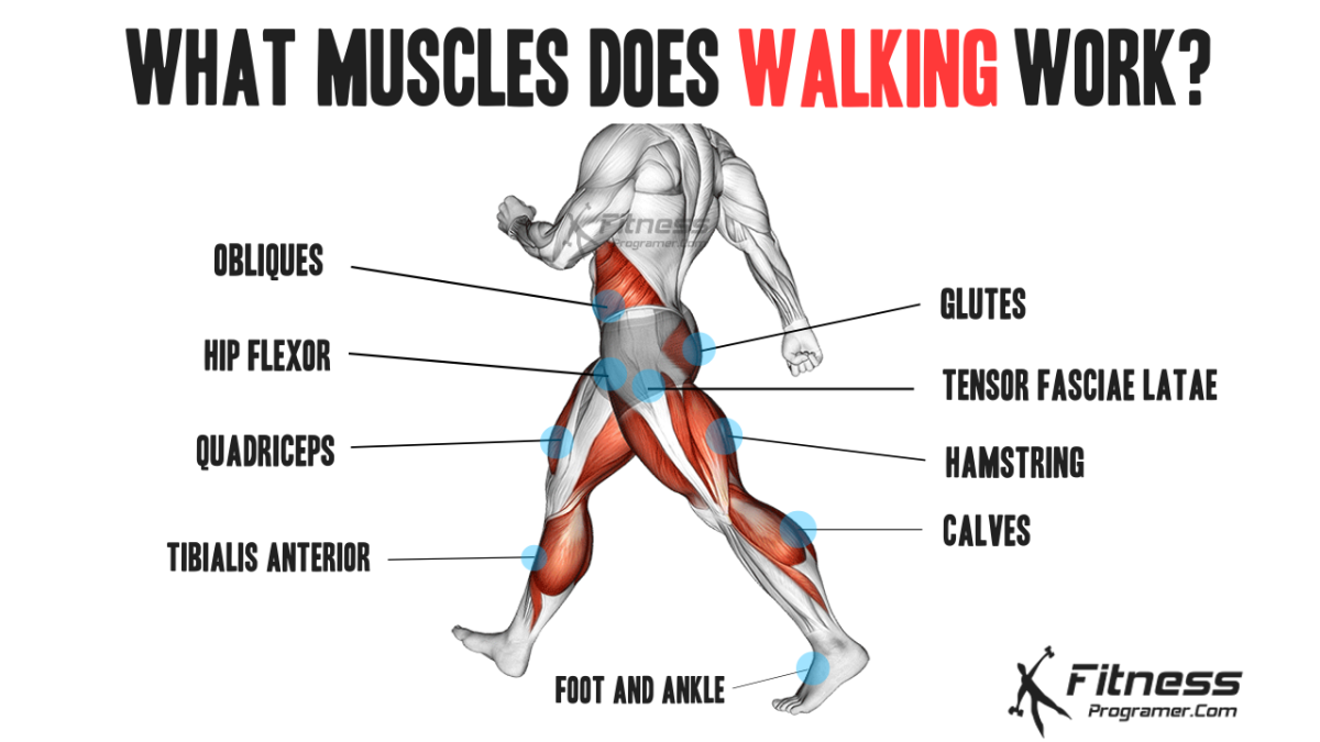 Is Walking Cardio Exercise and How Much Do You Need to Do?