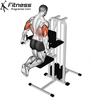 Asisted Triceps Dips