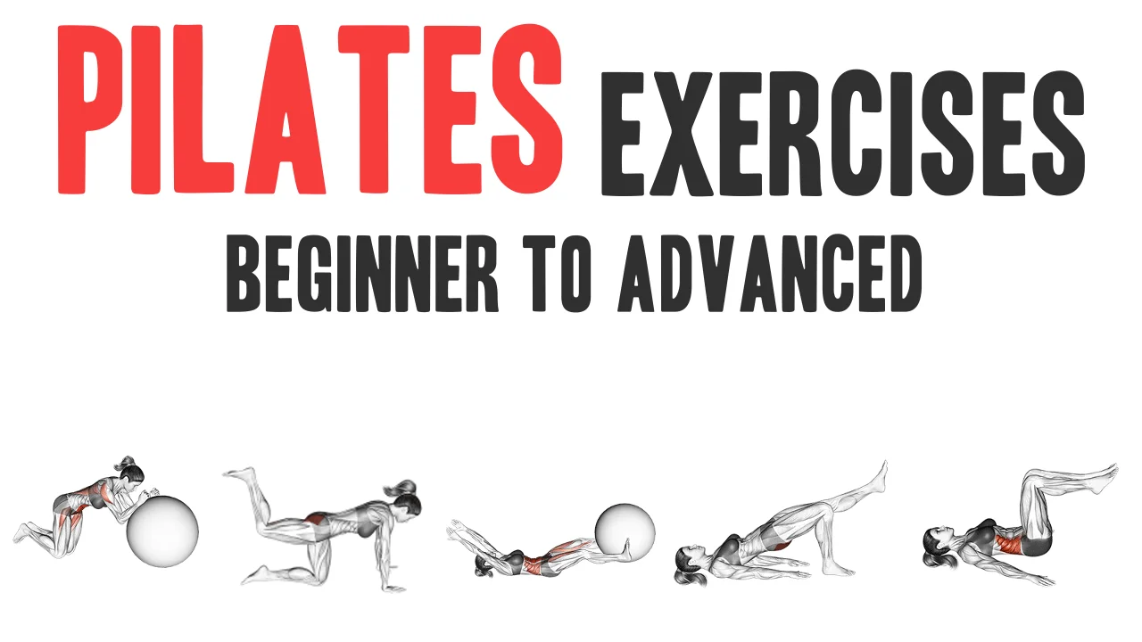 14 Best Pilates Exercises From Beginner To Advanced