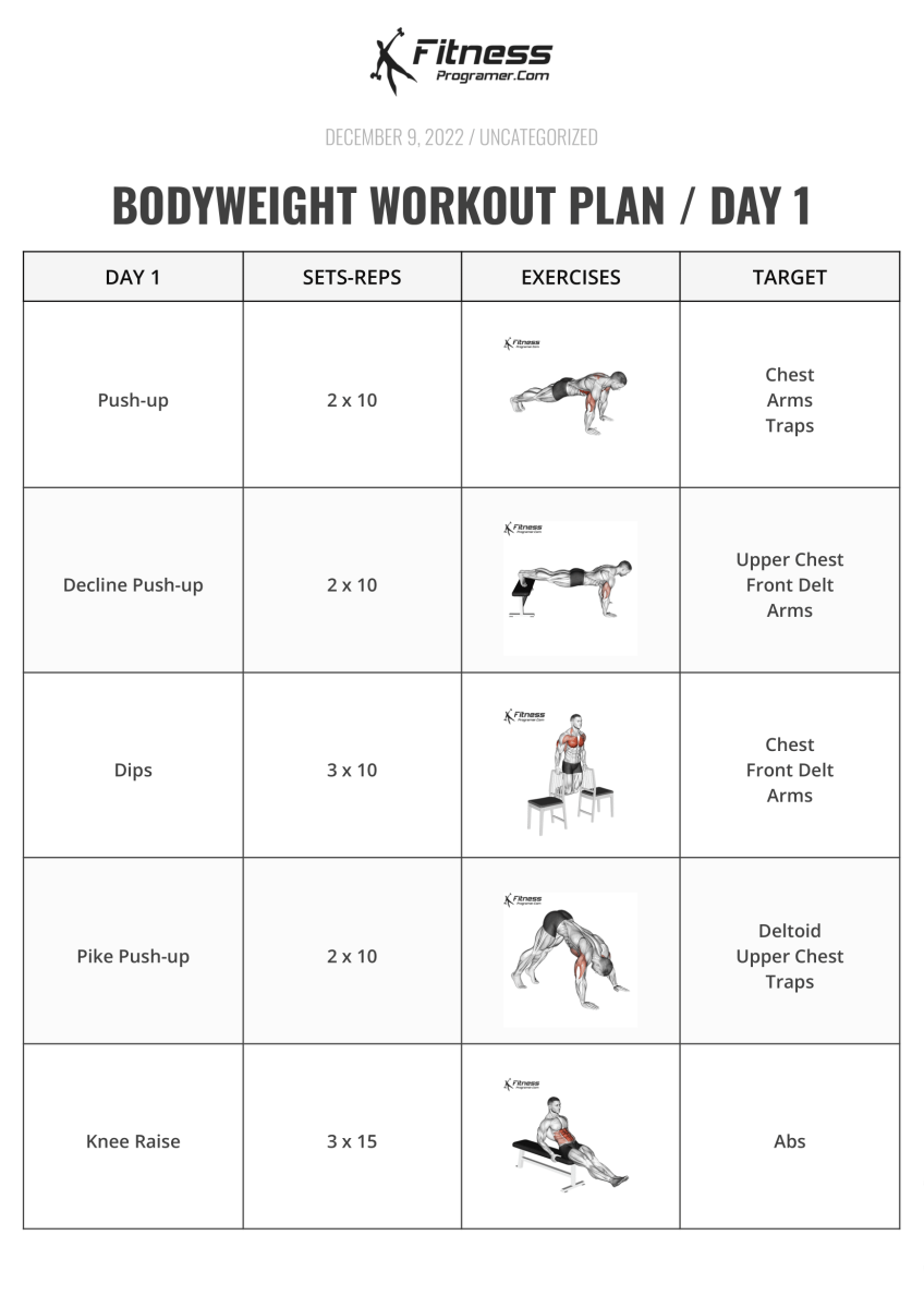 Bodyweight Workout Plan  Day 1