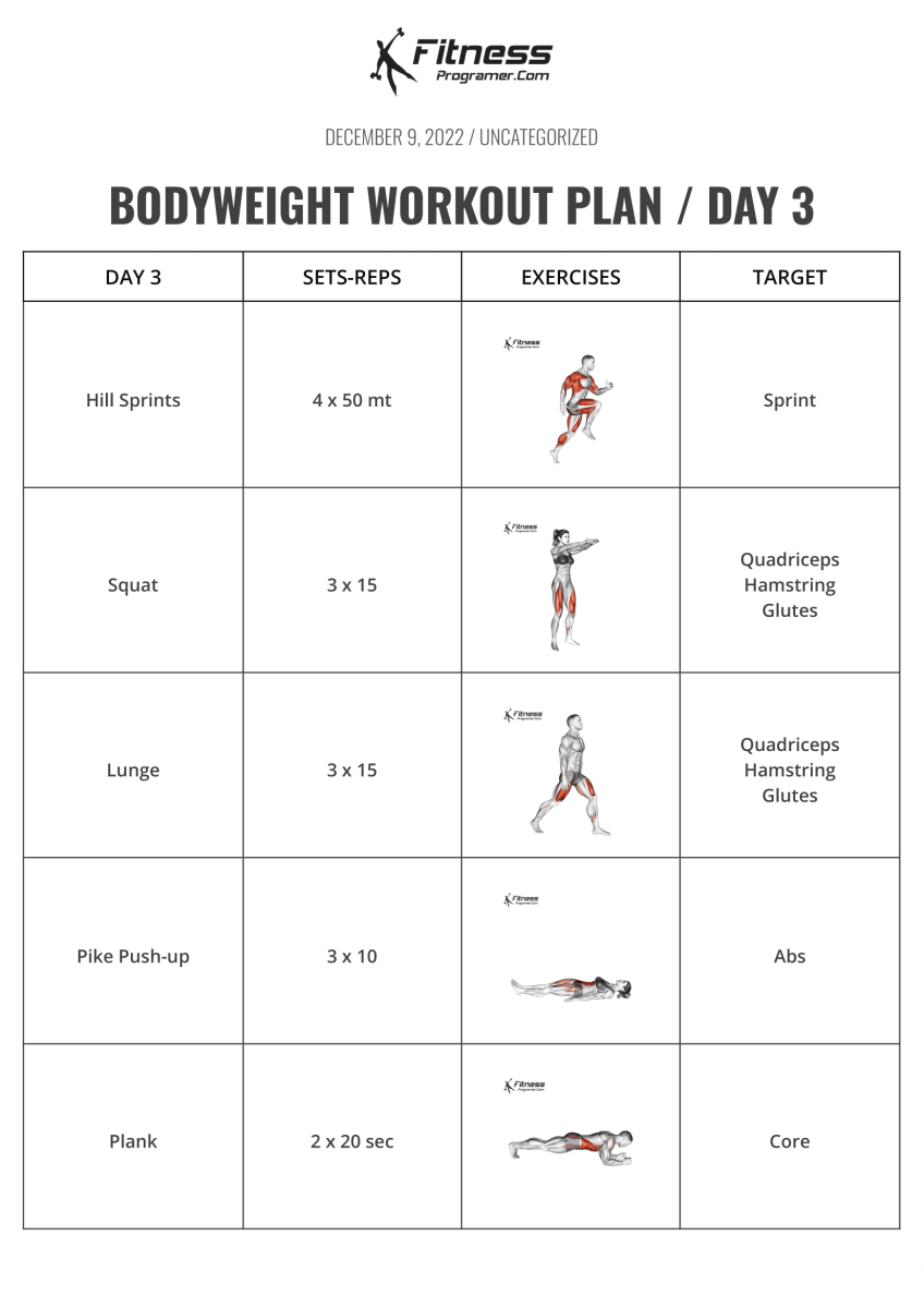Bodyweight workout plan day3