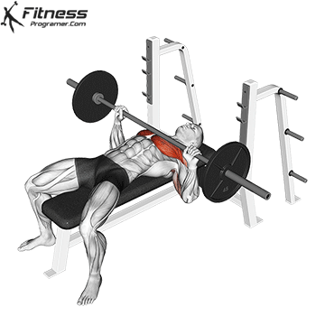 Chest workout Barbell Bench Press