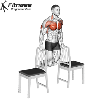 Dips Between Chairs for bodyweight workout