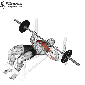 Decline bench press for chest workout routine