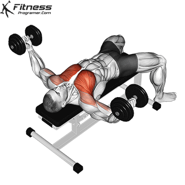 Dumbbell Fly for chest workout plan