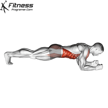 Plank Muscles Worked Diagram Plank Muscles Worked Diagram