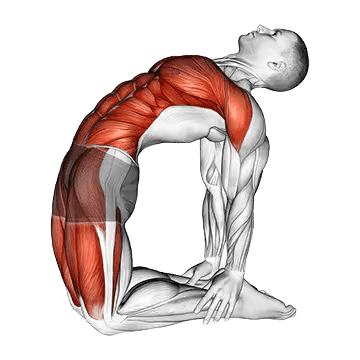 Complete body stretch for Cooldown Exercises