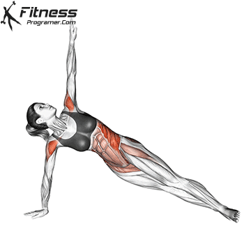 Upper Body 2 control Balance Workout Routine Created By Anthony Deli