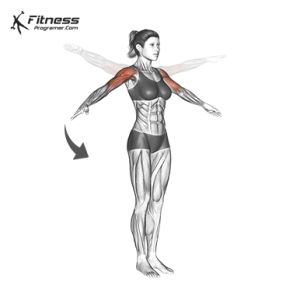 9 Shoulder Joint Movements | Anatomy And Function