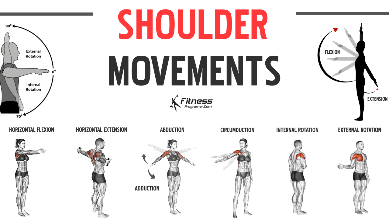 Shoulder Joint Movements