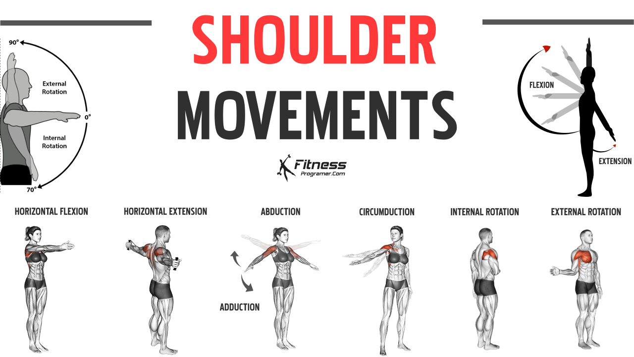 9 Shoulder Joint Movements Anatomy And Function