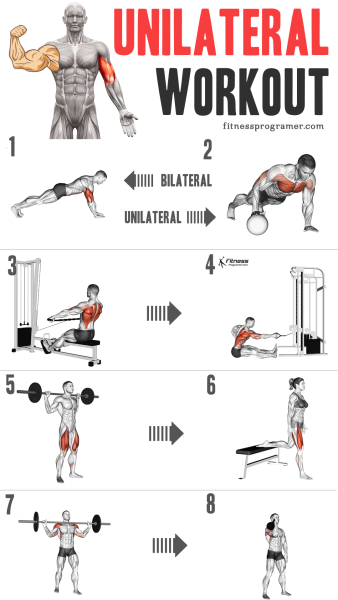 101 Unilateral Exercises For Balanced Muscle Growth