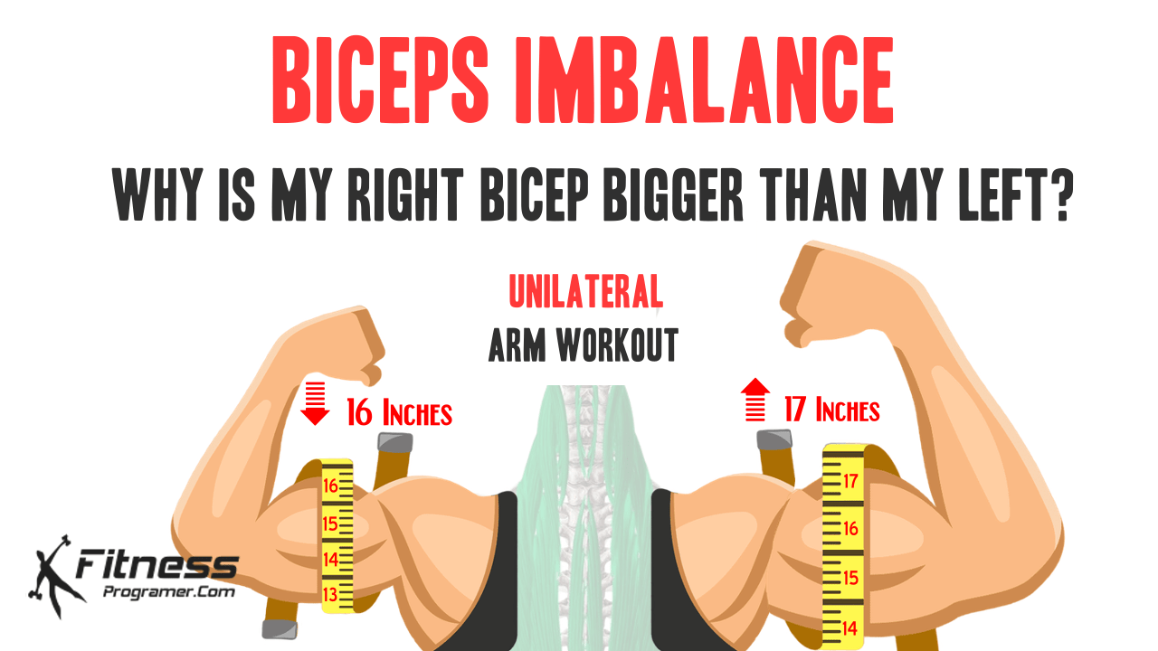 Why Is My Right Bicep Bigger Than My Left? Equalize Your Size!