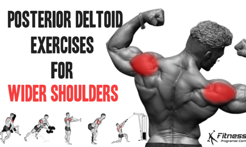 The Importance of Posterior Deltoid Exercises for Shoulder Width: 10 Posterior Deltoid Exercises